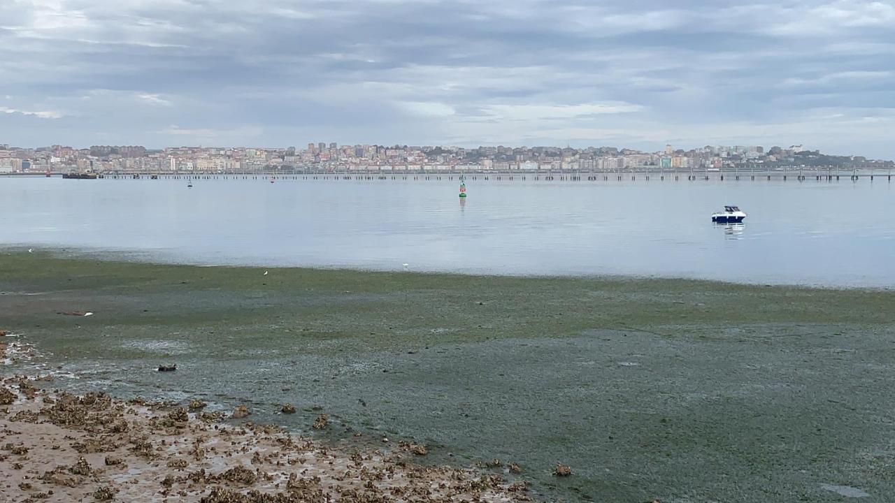 Apartamento Puerto Deportivo Marina De Santander Exteriér fotografie